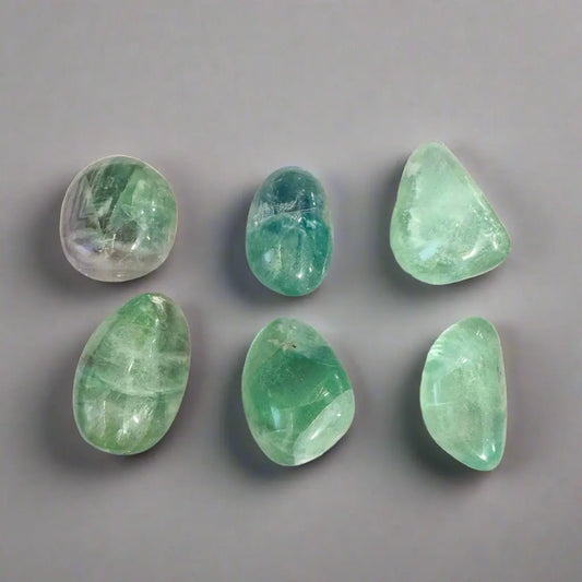 Fluorite Tumbled Stone AA Grade - Blackbird & Sage