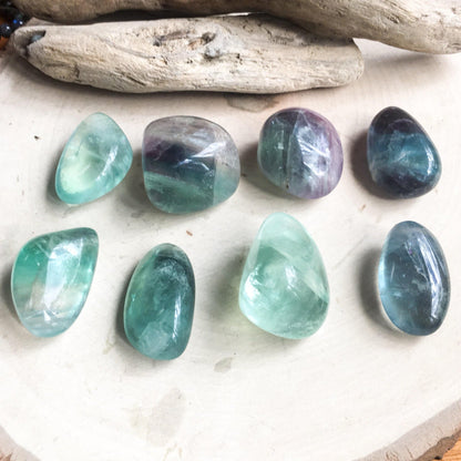 Large Fluorite Tumbled Stone AA Grade - Blackbird & Sage